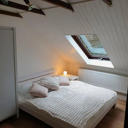 Elbblick-grosse-loftwohnung-mit-terasse-sauna-und-kamin Apartamento